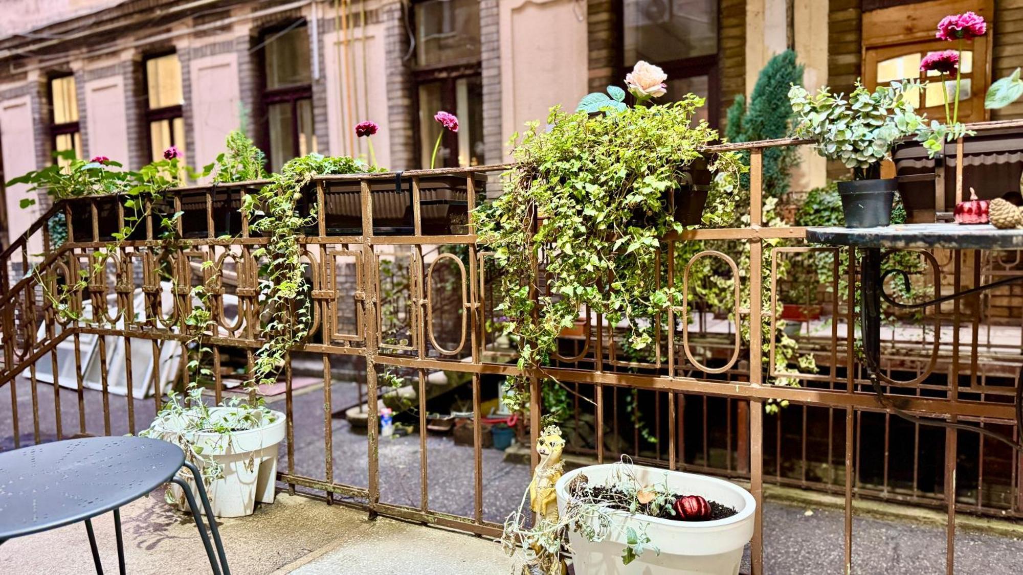 Fsf Boutique Apartament Temesvár Kültér fotó